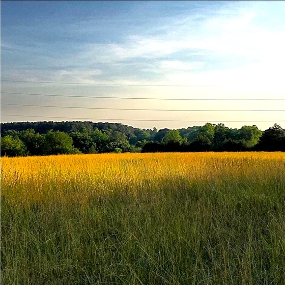 Meet your Posher, Attic Granny - Picture 4 of 16